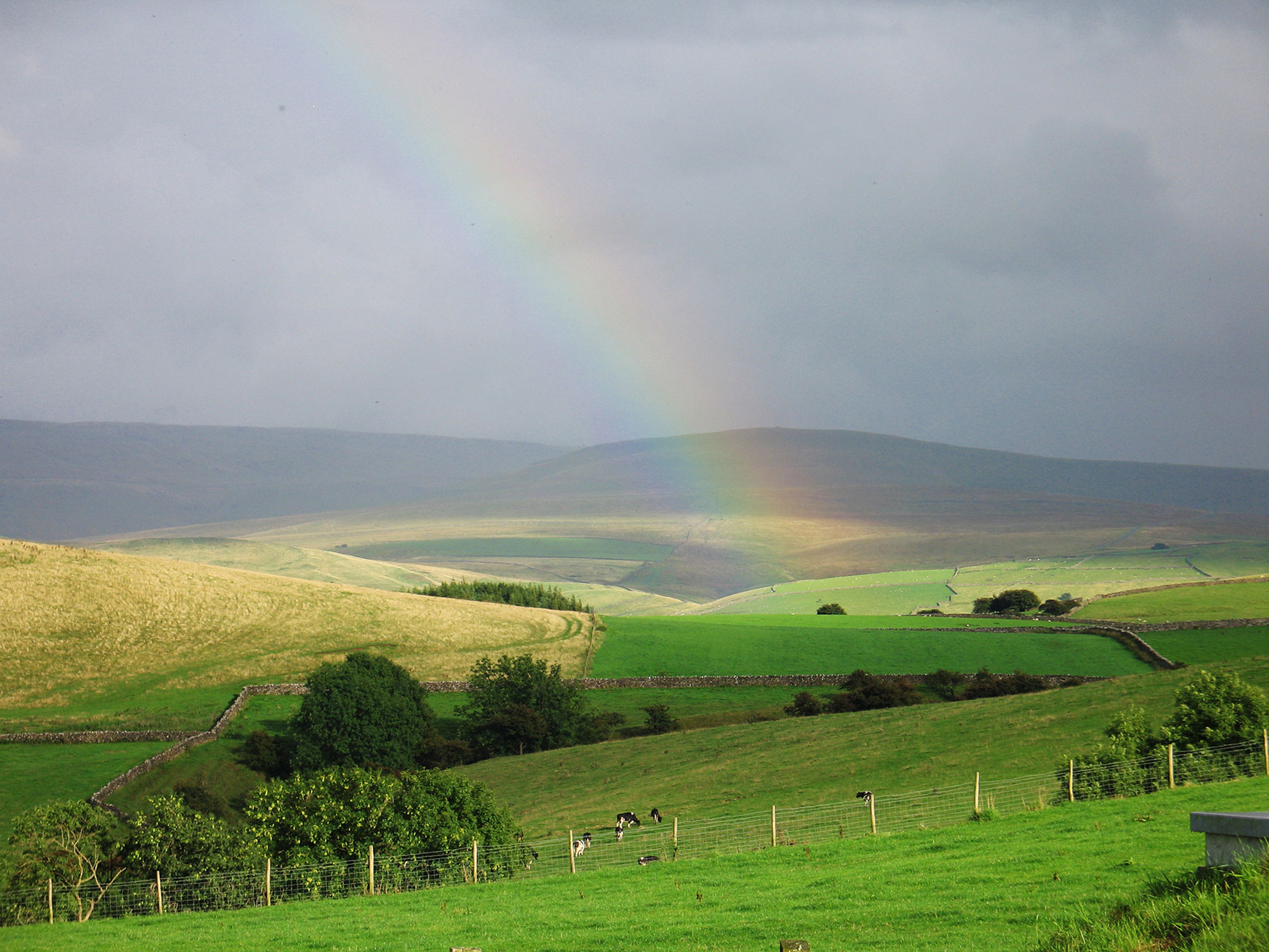 Rainbow views from the kitchen window