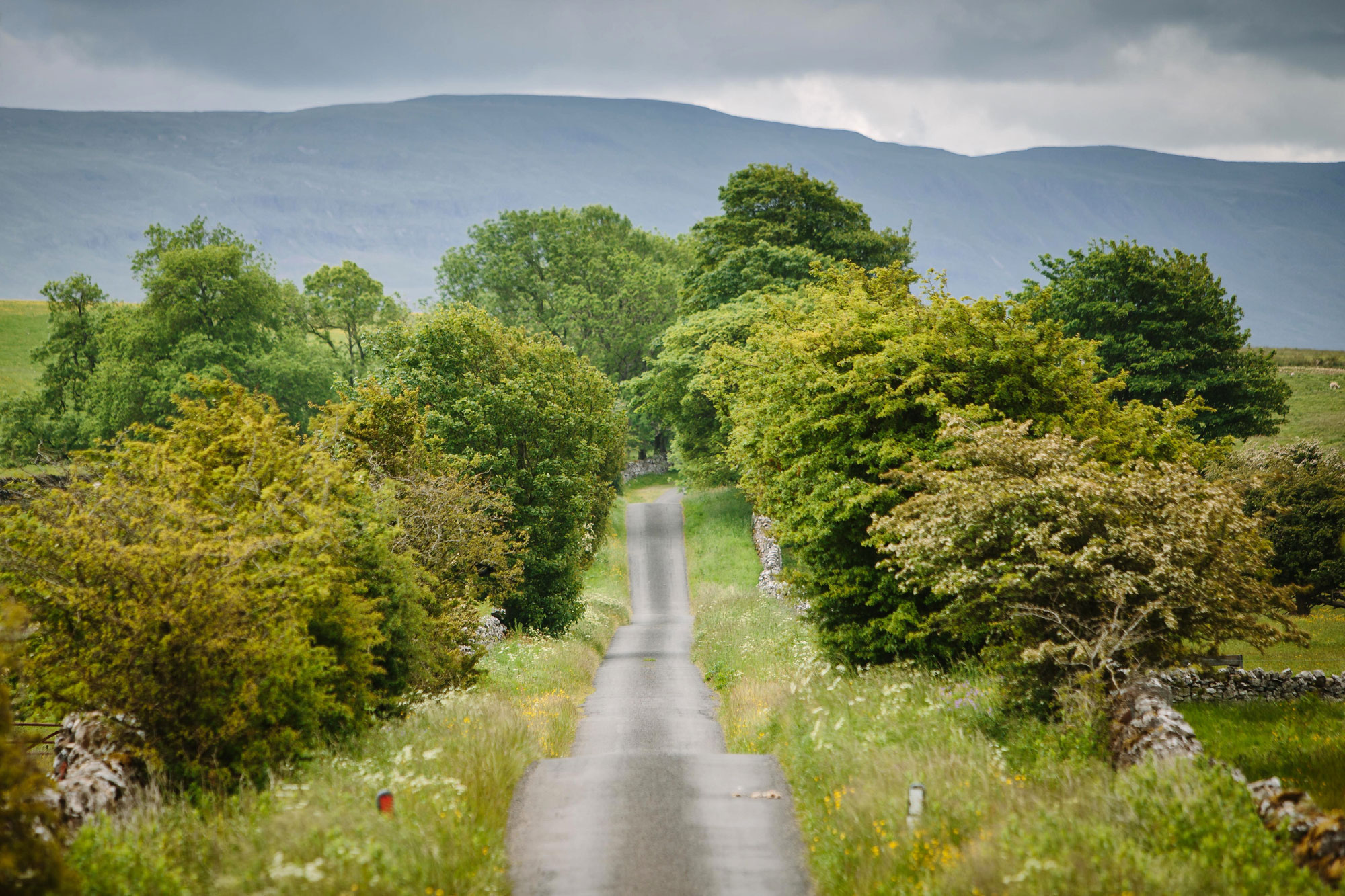 The road leading to Waitby School in its full, verdant glory