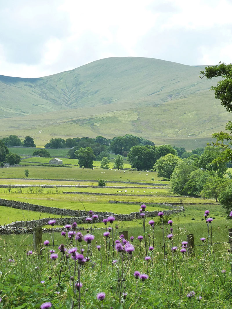 There are glorious walks directly on your doorstep