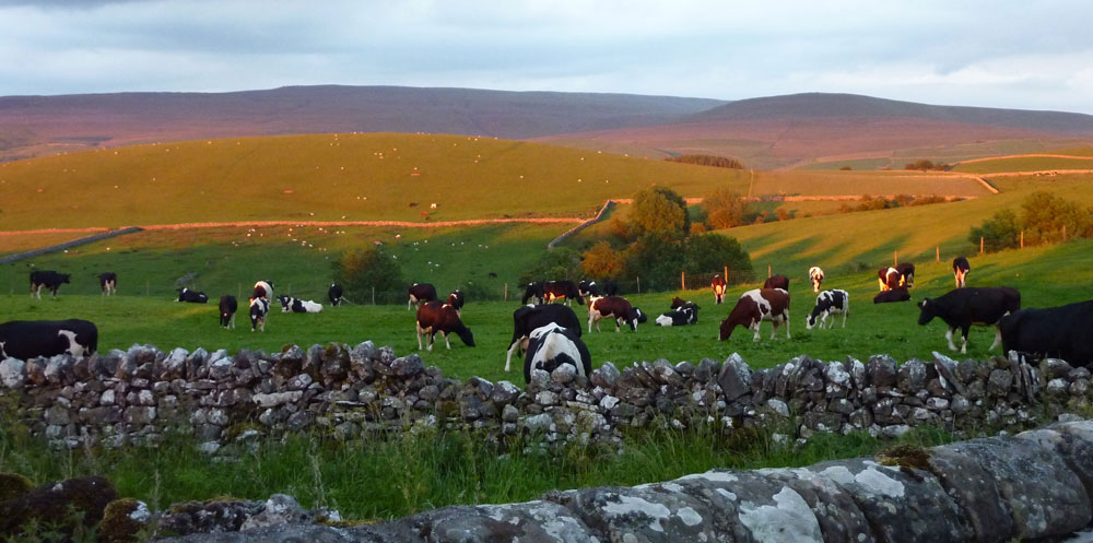 Autumn light on the fells