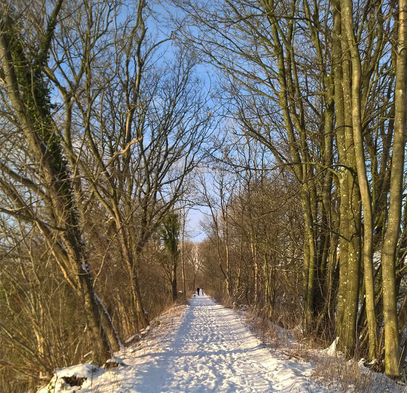 A wintery walk from Waitby School, down to the viaduct