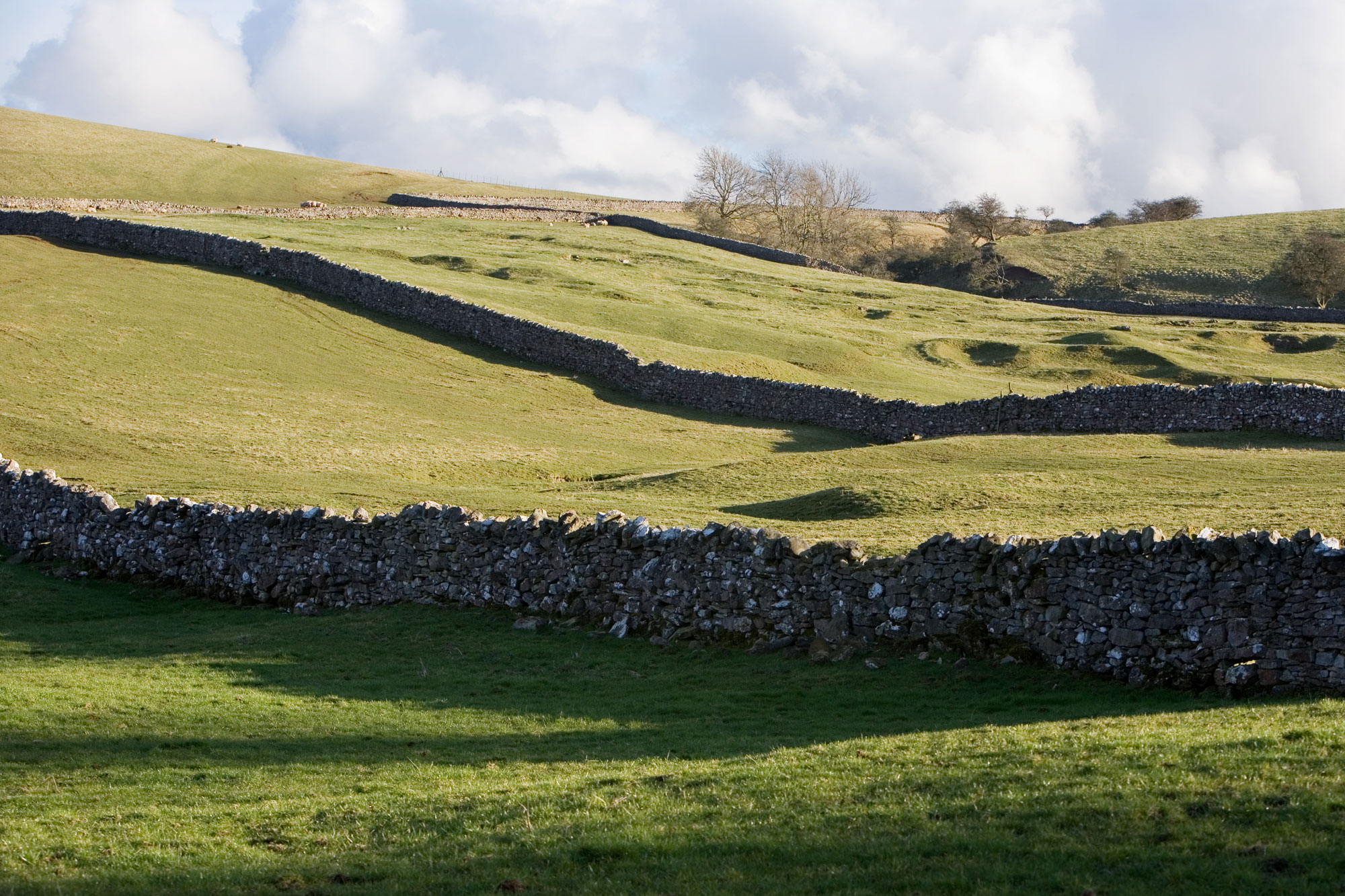Drystone walls in Cumbria