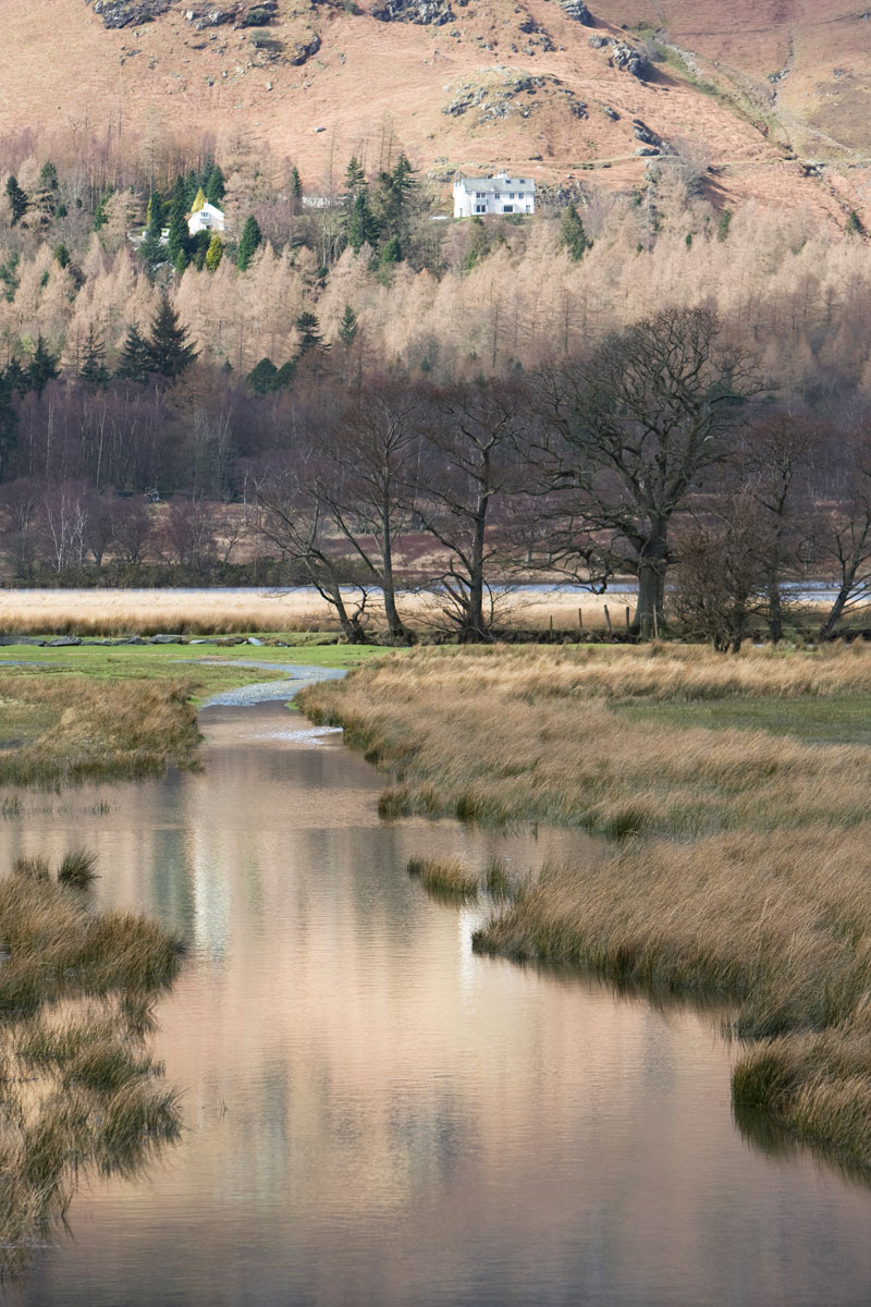 Near Derwentwater