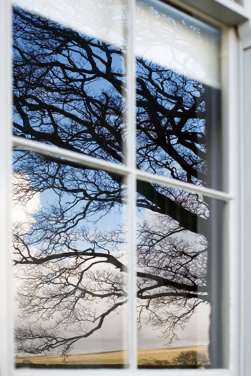 Every window frames a view, both from the inside and the outside