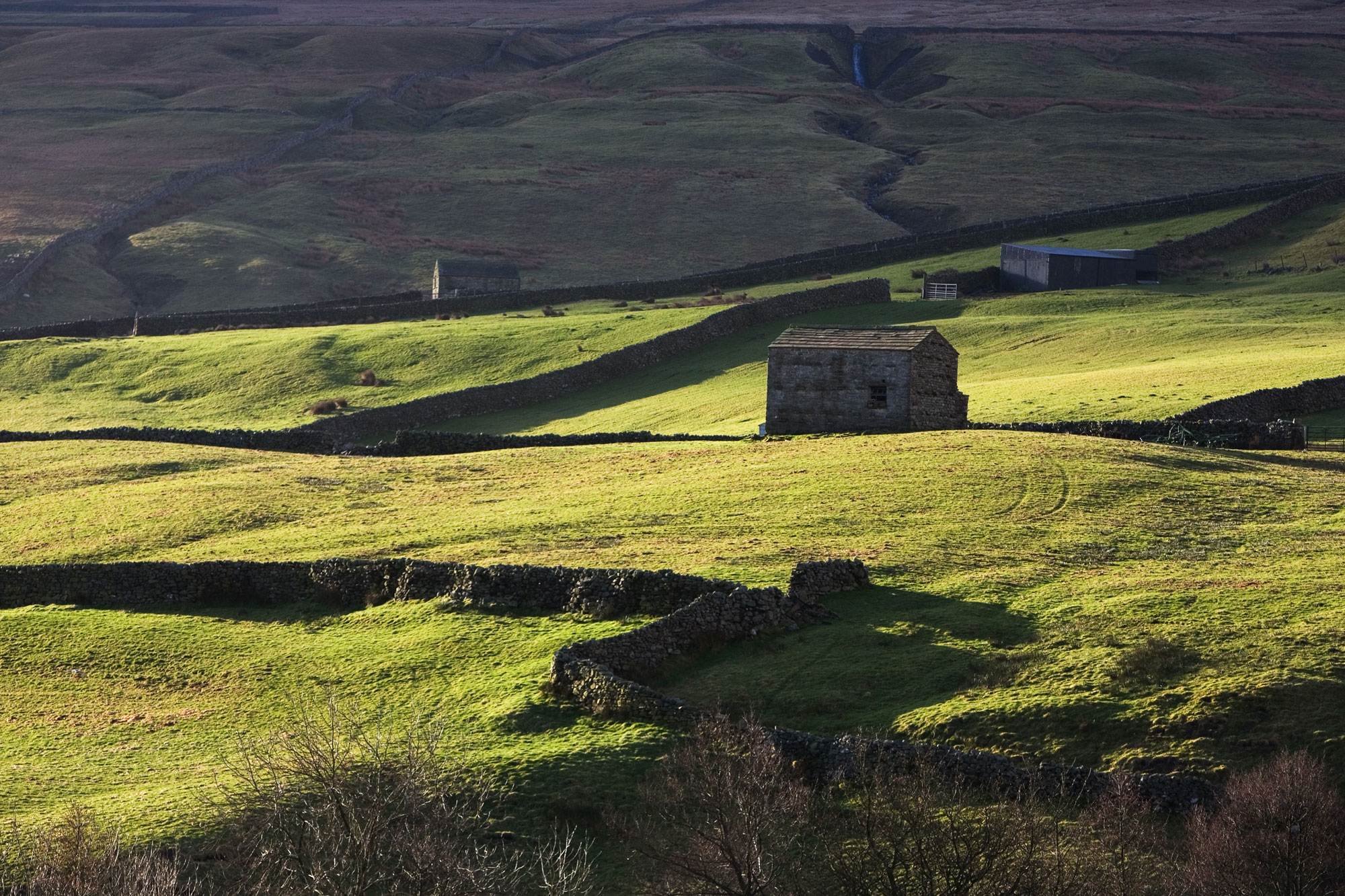 Fields and barn in the Yorkshire Dales National Park