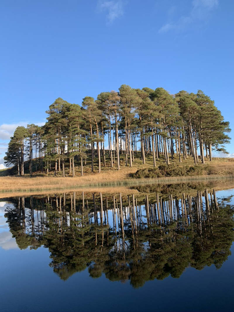 Glorious Tarn How's in the Autumn