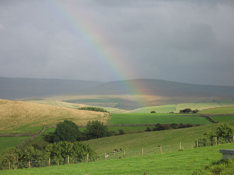 countryside