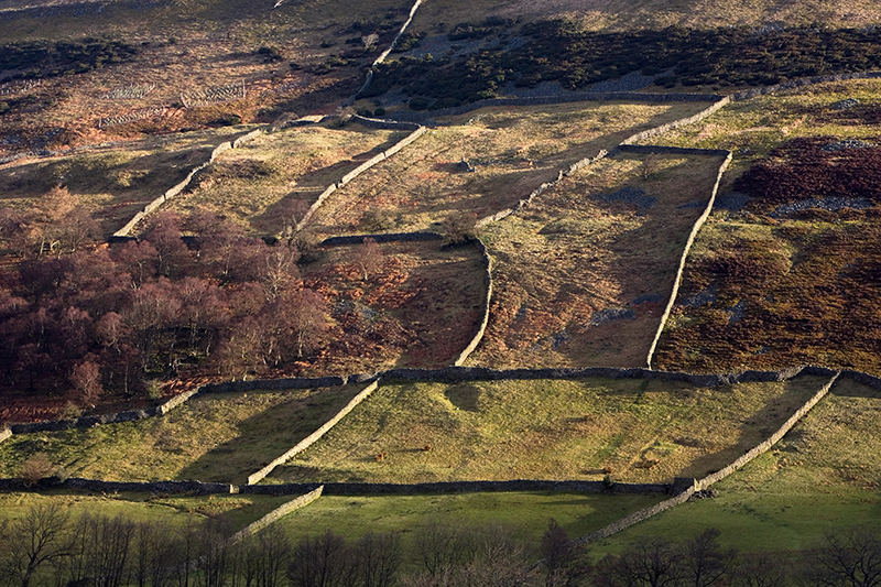 walled fields yorkshire moors 