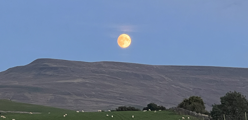 Moontoo