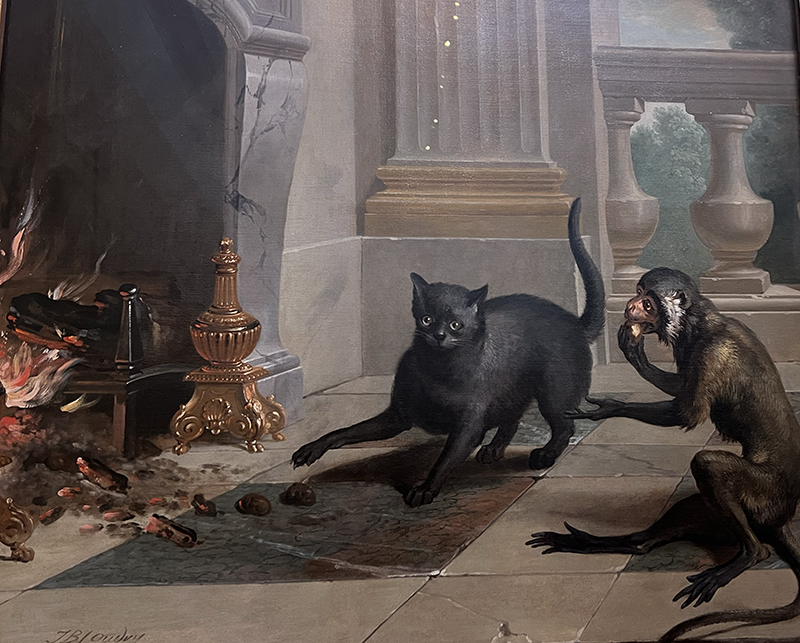 cat and monkeyjpg