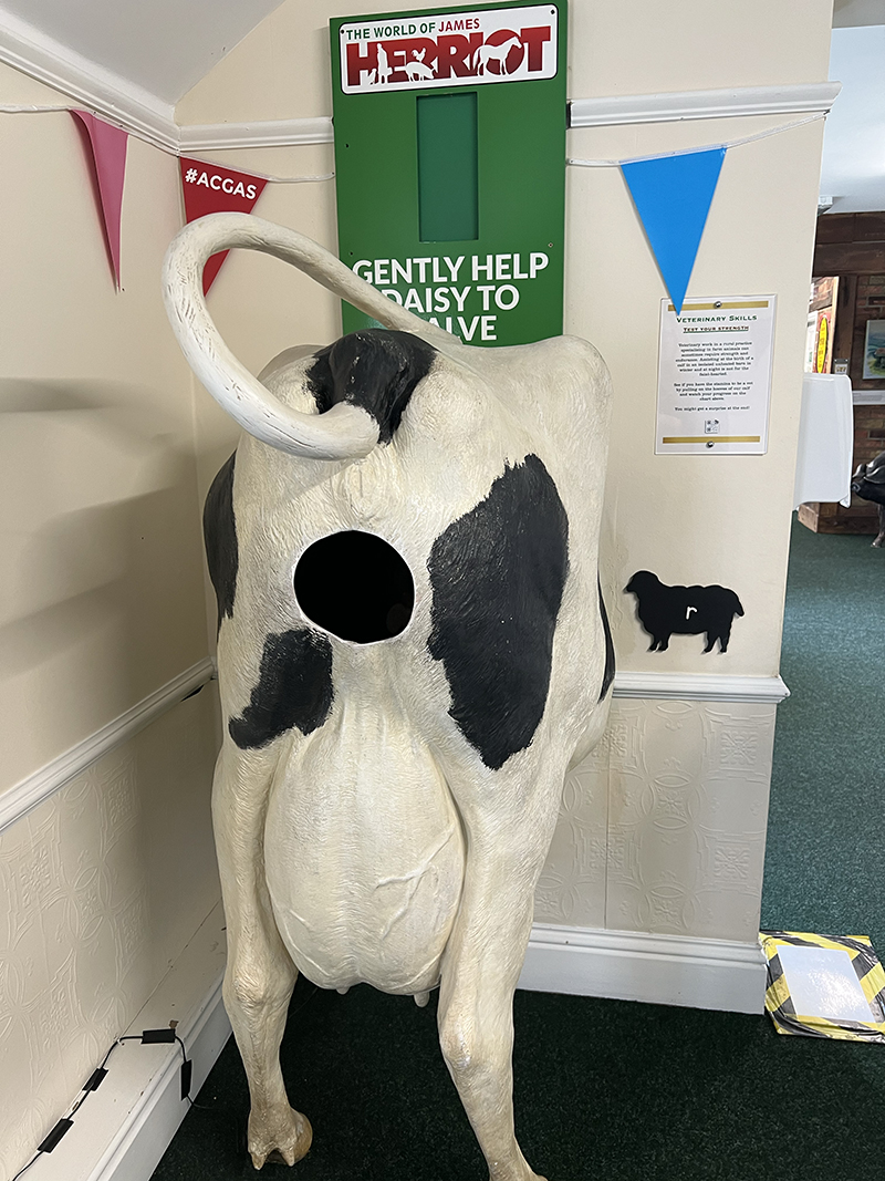 cow