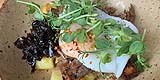 Food, glorious food 